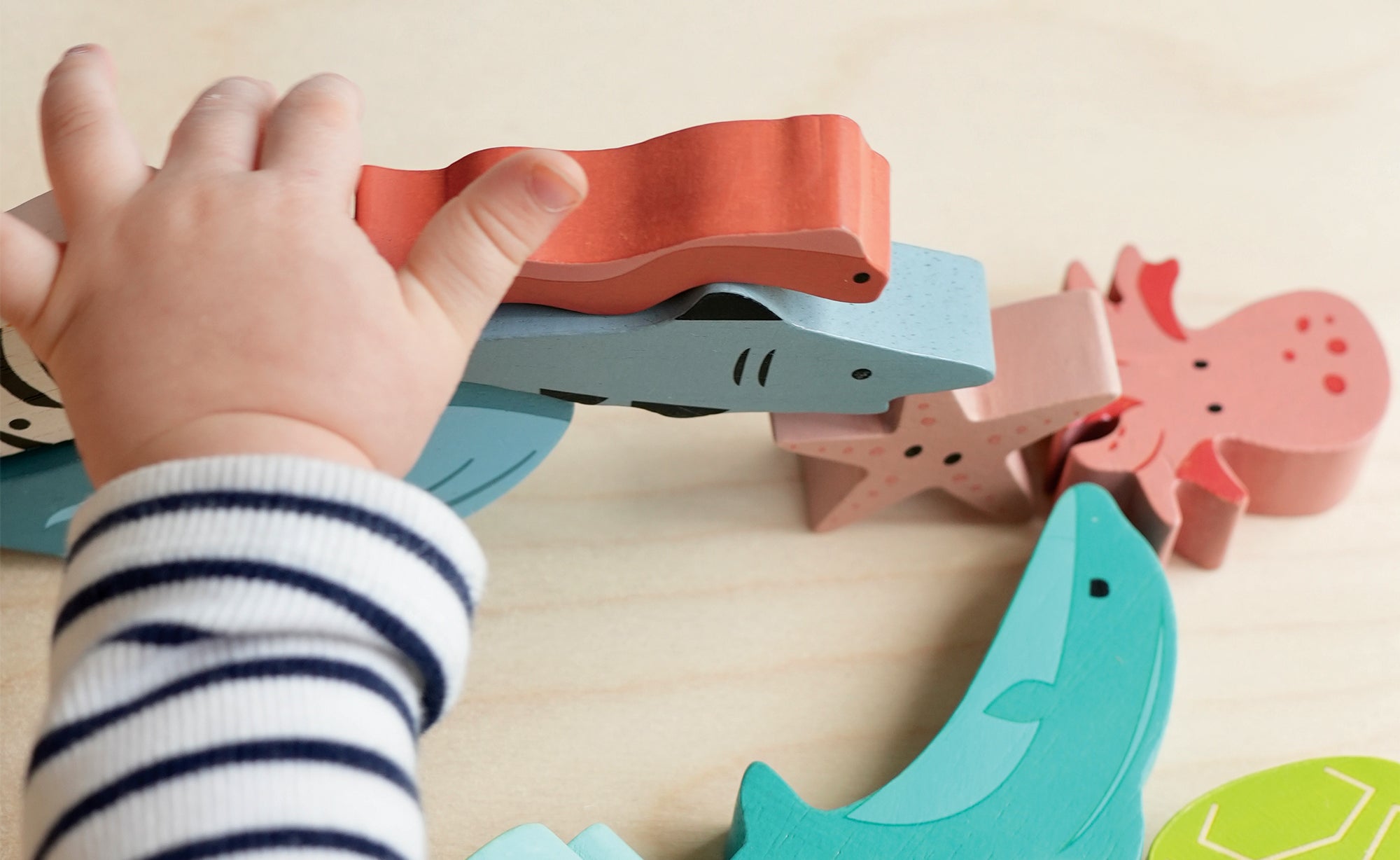 Stacking & Sorting Toys