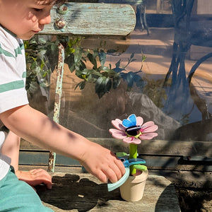 Blossom Flowerpot Set