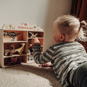 8 Dinosaurs Shelf Set