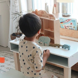 Desk and Chair