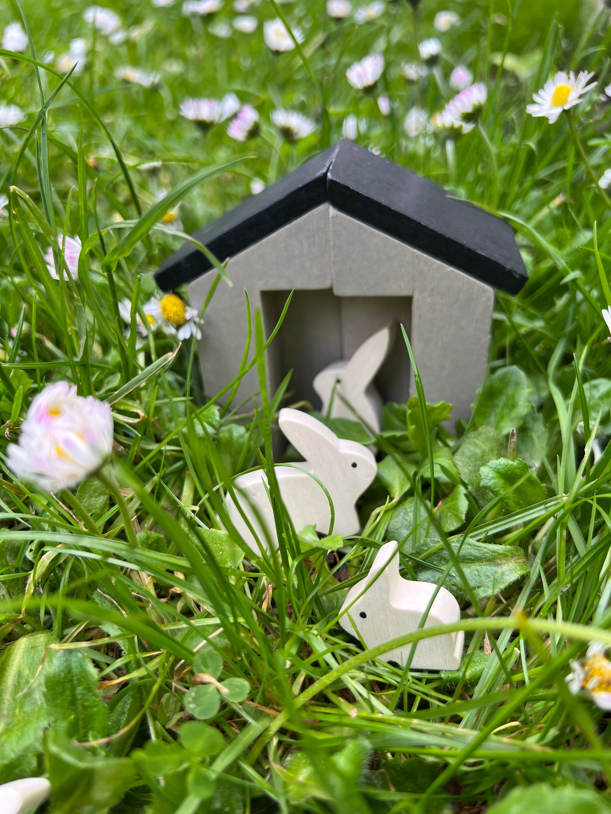 Little Garden Designer