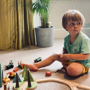 Wild Pines Train Set