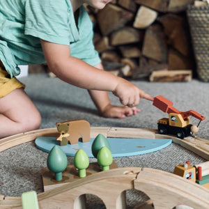 Wild Pines Train Set