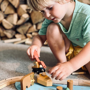 Wild Pines Train Set