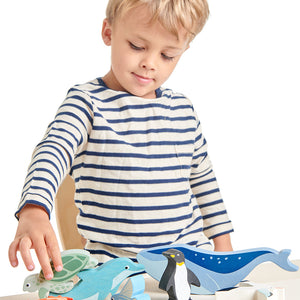 10 Coastal Creatures Shelf Set