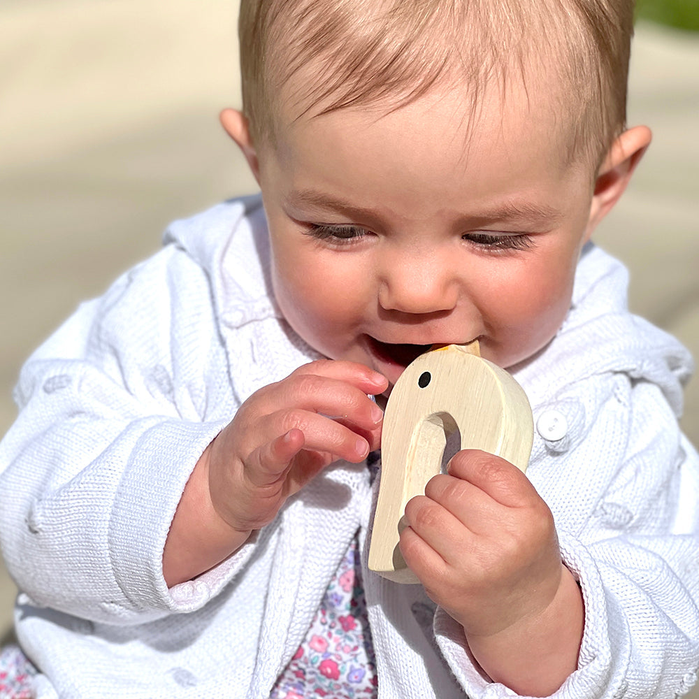 Bird & Kitten Teethers