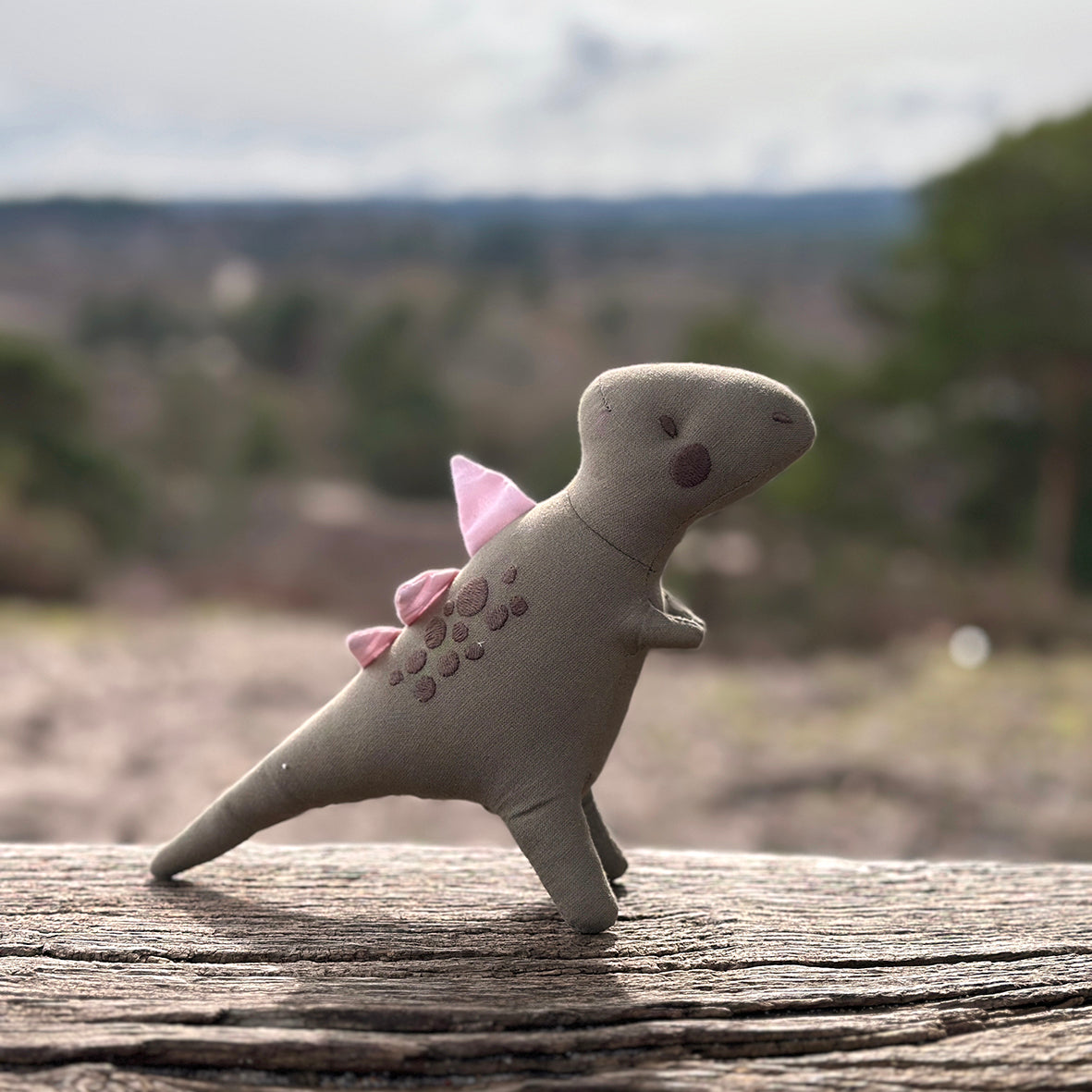 T-Rex Dinosaur Toy